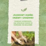 Jagodowy ogród - krzewy i sadzonki